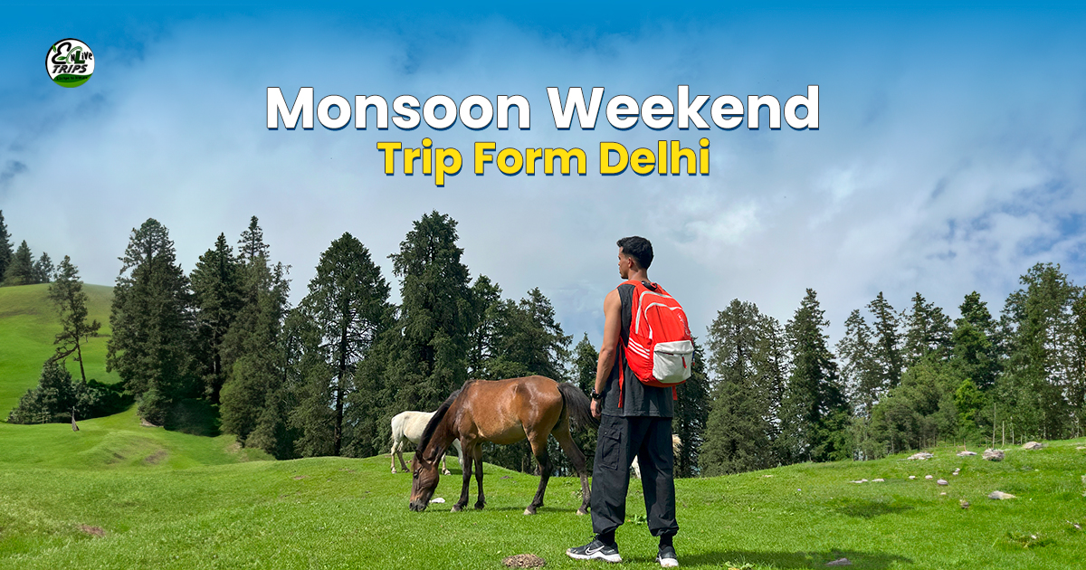Monsoon Weekend Trip: Enjoy Your Time in Udaipur, Chopta Tungnath, Tirthan Valley, Chakrata, Manali Jispa, Mcleodganj, and Kanatal